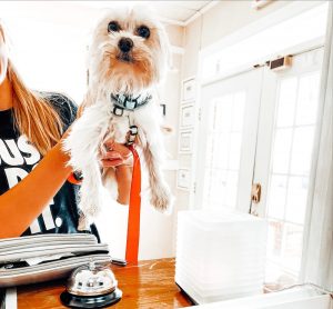 Small dog in a woman's arms