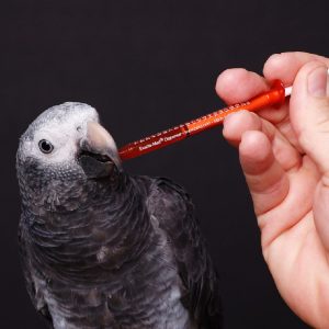We specialize in birds and exotics ♡