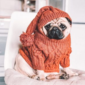 Happy first day of fall 🍁 🍃