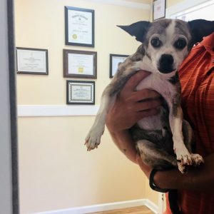 We ♡ Those Ears.Customer Visits are THE BEST!