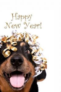 Happy new year