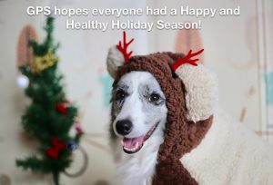 Be Happy, stay healthy! Let’s bring on this New Year!