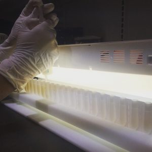 Compounding pharmacy preparing medication